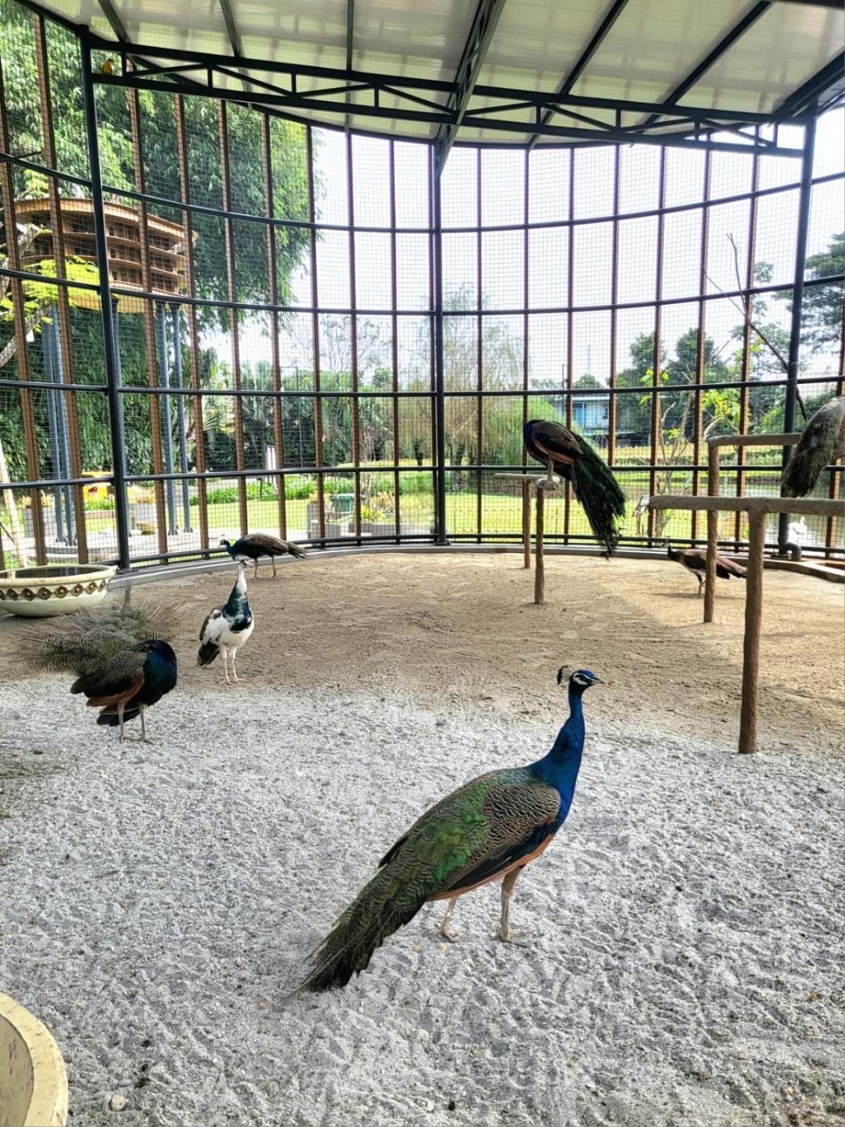 Villa Vimala Hills Semeru Bogor Bagian luar foto